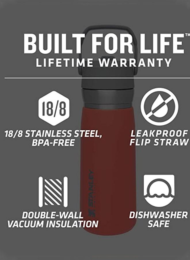 Taiahiro Stainless Steel Bottle with Straw, Vacuum Insulated Water Bottle for Home, Office or Car, Reusable Leakproof Cup with Straw and Handle - Image 4