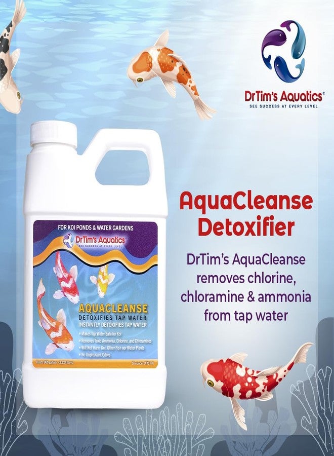 دي آر تيم أكواتيكز مُنظف أكوا كلينز من دكتور تيمز أكواتيكس لأحواض أسماك الكوي - 32 أونصة - مُزيل للسموم، ومُزيل للكلور، ومُخفض للأمونيا من ماء الصنبور لأحواض الأسماك الجديدة والمُجهزة. - Image 2