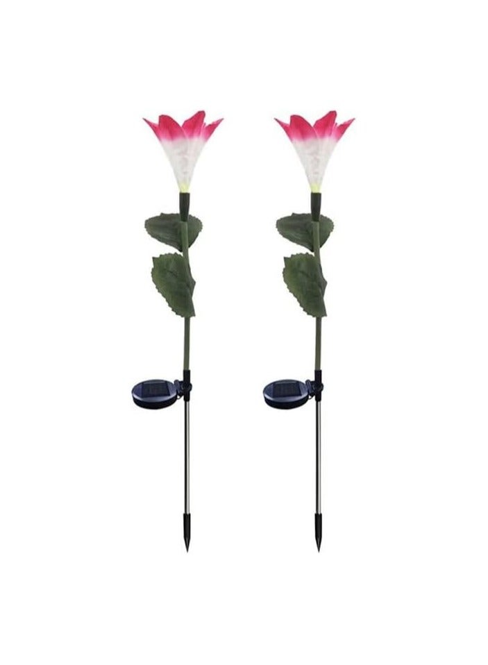 BLOOMING TIME Waterproof Outdoor Solar Lights, Auto On/Off, Decorative Solar Stake Lights for Yard Patio Pathway Landscape(2‑Pack) - Image 1