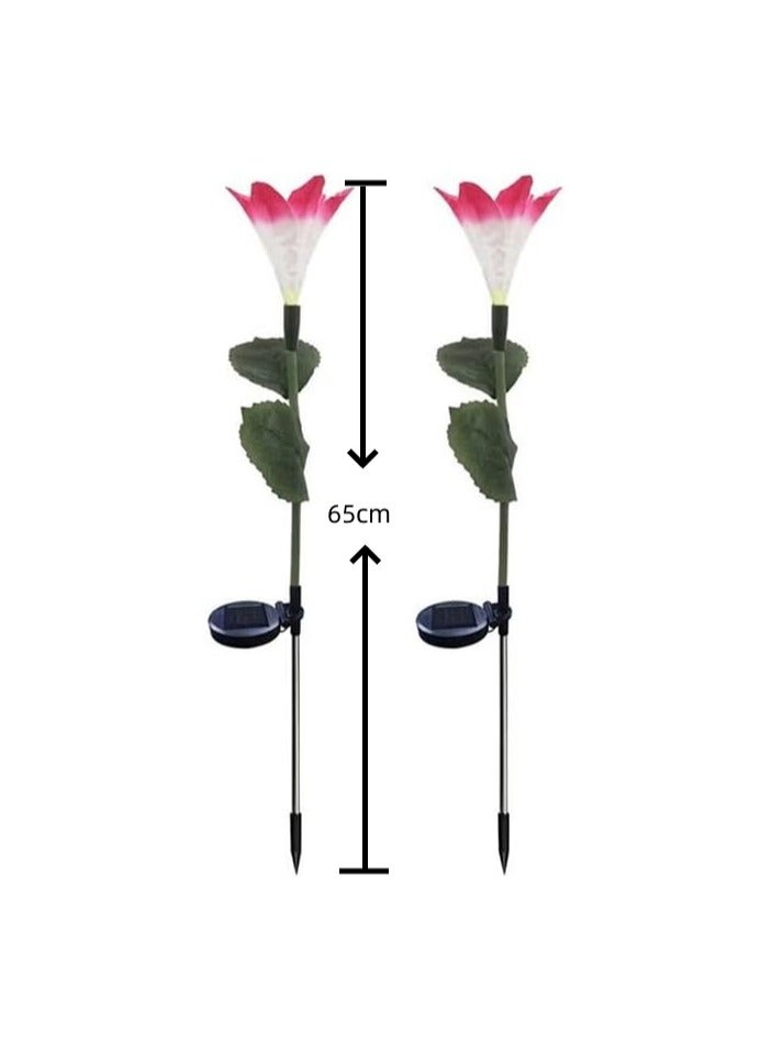 BLOOMING TIME Waterproof Outdoor Solar Lights, Auto On/Off, Decorative Solar Stake Lights for Yard Patio Pathway Landscape(2‑Pack) - Image 5