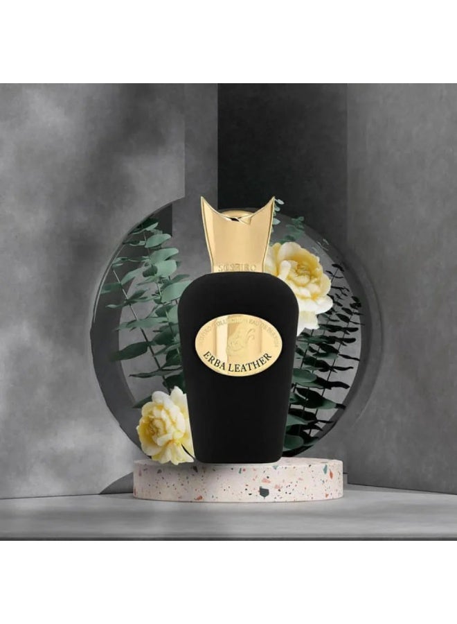 سوسبيرو عطر ايربا ليذر من سوسبيرو او دو بارفيوم 100مل - Image 3