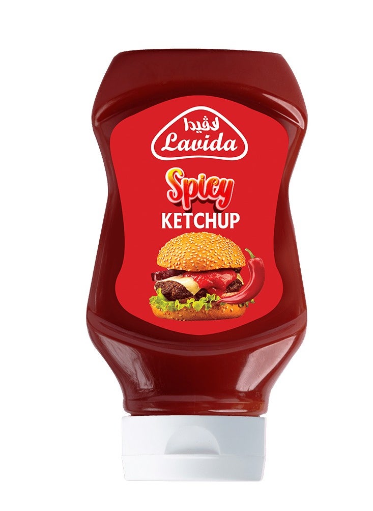 Spicy Ketchup , 440 gm - pzsku/ZE57207B11CC4EDB75E74Z/45/_/1715180424/ecd3e90d-82fa-4943-99e5-108755117520