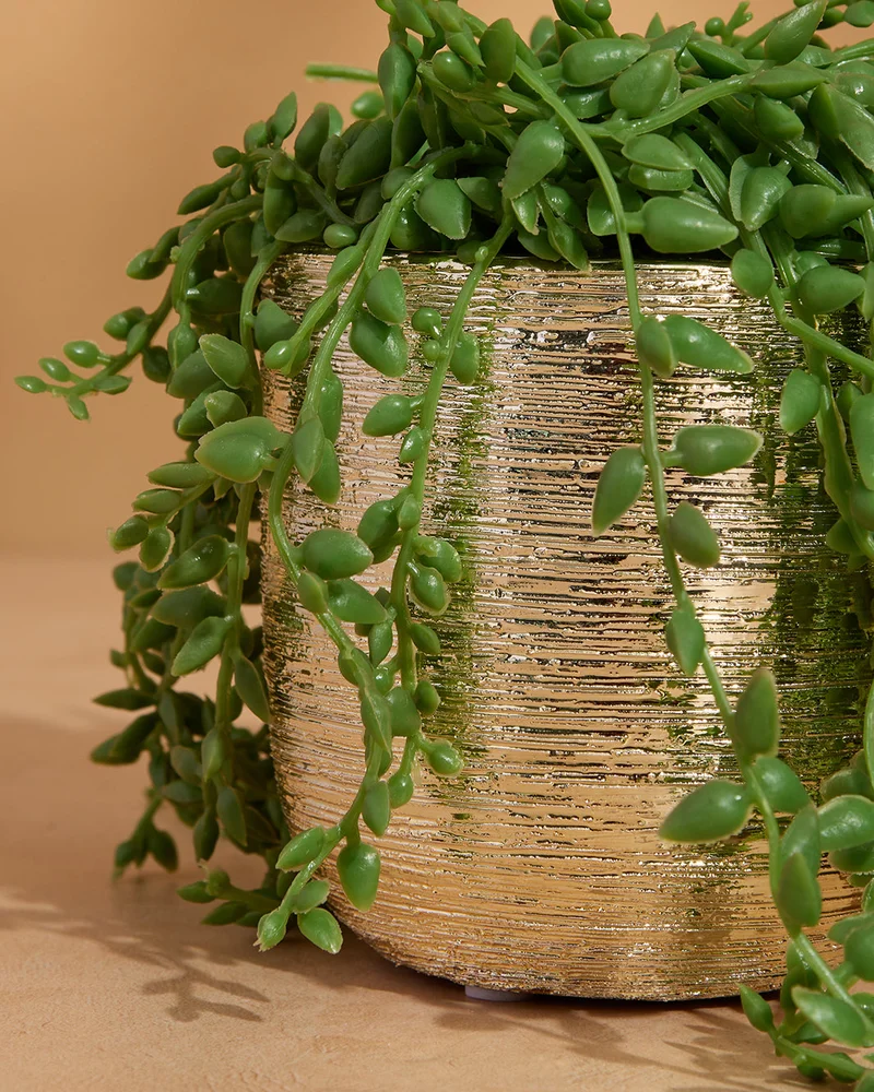 Redtag Gold Artificial String Of Pearls In Pot (40H x 15D cm)