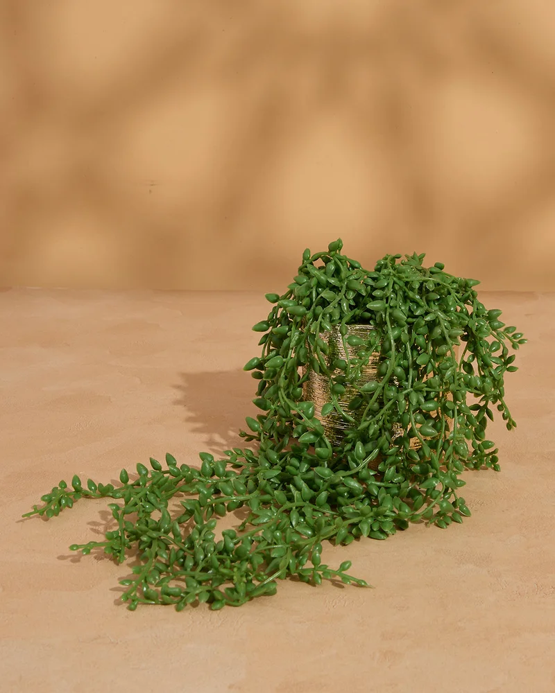Redtag Gold Artificial String Of Pearls In Pot (40H x 15D cm)