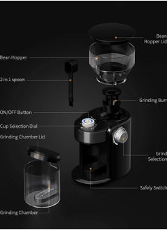 Coffee Grinder Electric Coffee Bean Grinder 250g Capacity With Brush Easy To Clean 200W Coffee Grinder - pzsku/ZE574AFF7E6C35734AC45Z/45/_/1724626998/28c4d665-2621-41c7-9150-151174c38523