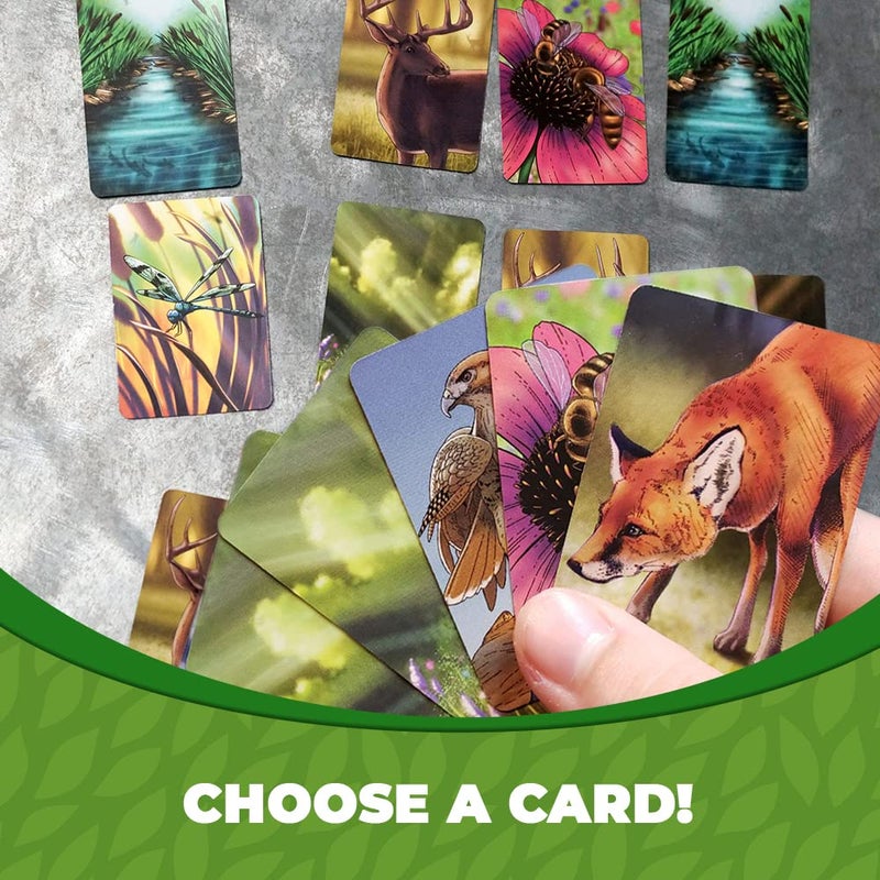 Genius Games Ecosystem - A Family Card Game about Building Habitats | Learn about Animals, Ecology & Biodiversity for Kids, Adults, Families or the classroom! Fun Board Games for Environmental Science Class - Image 5