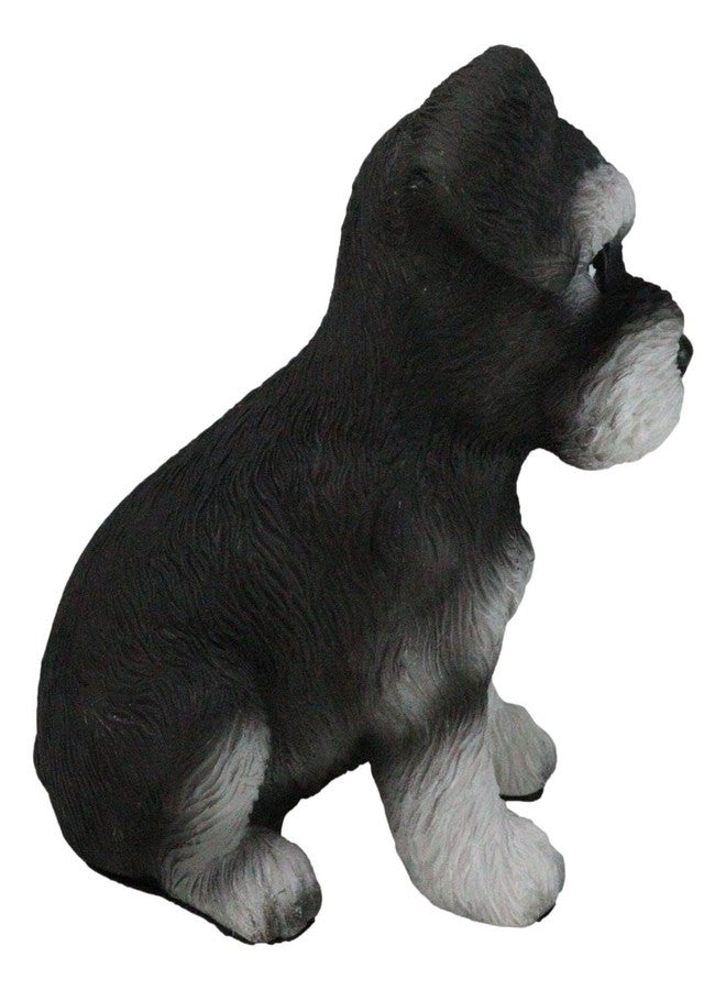 Ebros Gift Ebros Realistic Miniature Schnauzer Puppy Statue 5.75" Tall Animal Dog Collectible Lifelike Schnauzer Figurine Decor - Image 4