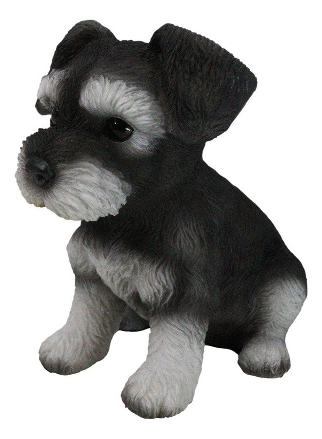 Ebros Gift Ebros Realistic Miniature Schnauzer Puppy Statue 5.75" Tall Animal Dog Collectible Lifelike Schnauzer Figurine Decor - Image 2