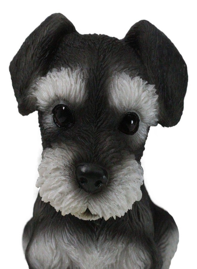 Ebros Gift Ebros Realistic Miniature Schnauzer Puppy Statue 5.75" Tall Animal Dog Collectible Lifelike Schnauzer Figurine Decor - Image 3