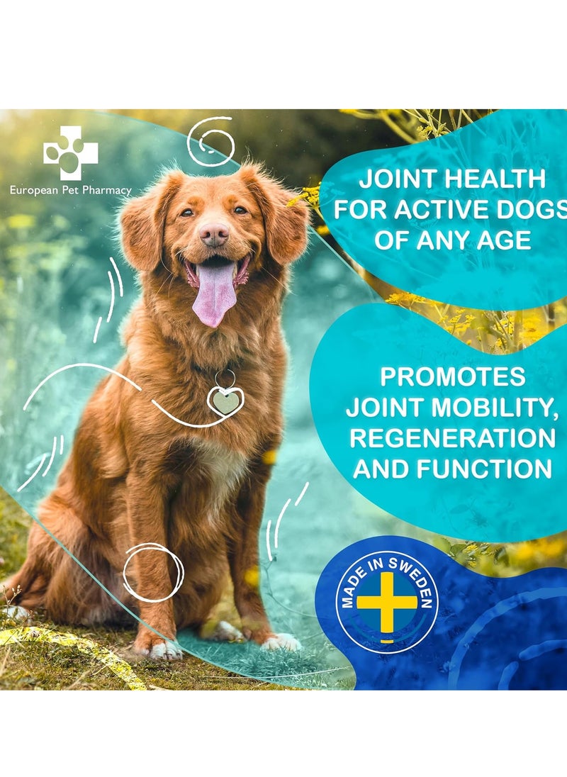 EUROPEAN Dog Joint Supplements Cat Joint Supplement Nutrient Dense Formula with Green Lipped Mussel for Dogs Cats for Recovery Mobility All Ages 140g Powder  - Image 4