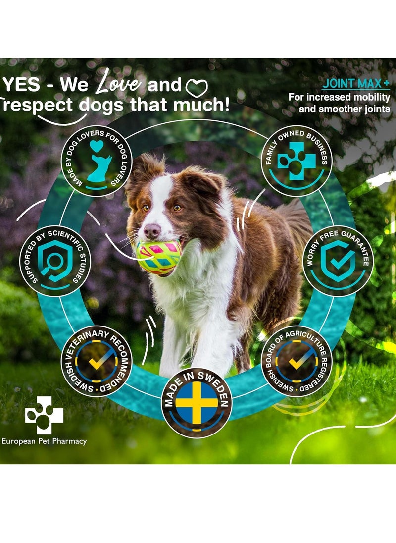 EUROPEAN Dog Joint Supplements Cat Joint Supplement Nutrient Dense Formula with Green Lipped Mussel for Dogs Cats for Recovery Mobility All Ages 140g Powder  - Image 3