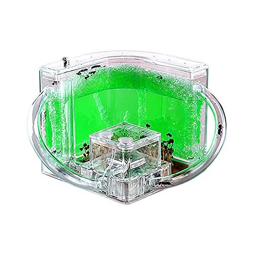 EXBEPE Ant Farm for Kids Safety and Environment Gel Ant Colony Ecosystem Terrarium Ant Habitat Science Learning Kitwith No Ant - Image 1