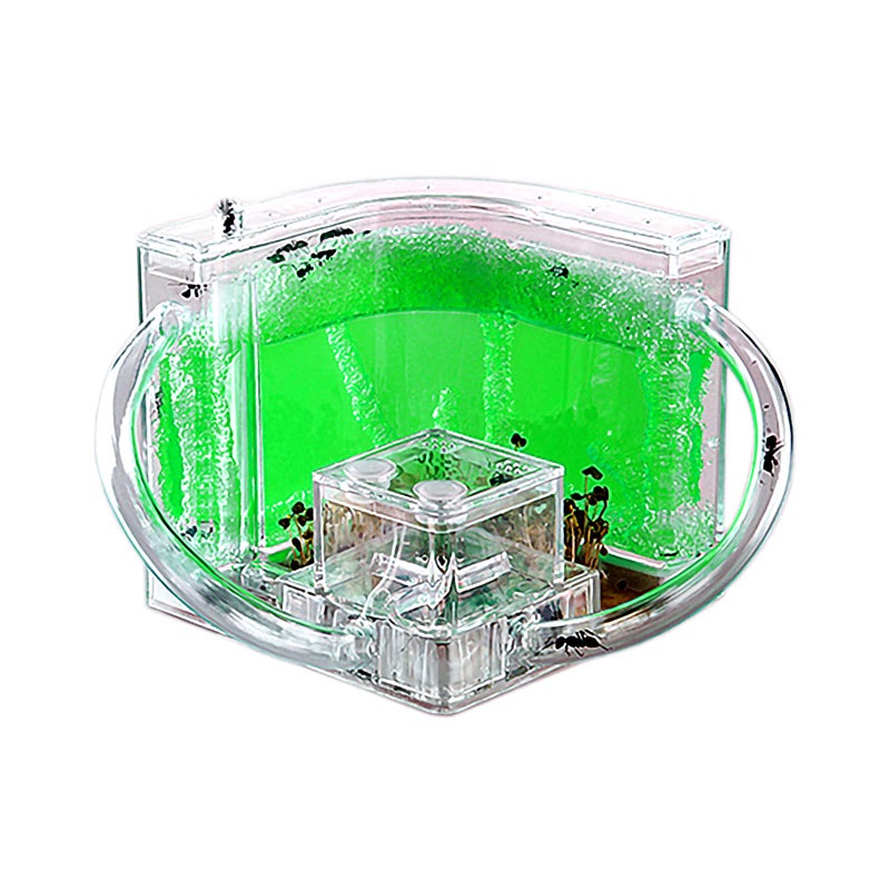 EXBEPE Ant Farm for Kids Safety and Environment Gel Ant Colony Ecosystem Terrarium Ant Habitat Science Learning Kitwith No Ant - Image 4