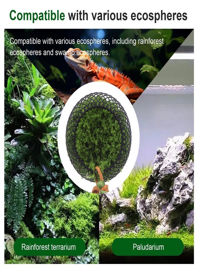 Zelphvt 1 Pcs Reptile Hides with Strong Magnet, Mesh Jumping Spider Accessories for Enclosure, Amphibian Habitat Hideouts Jumpings Spiders House for Tarantulas Reptile Hides and Hideout Caves Decorr - Image 4