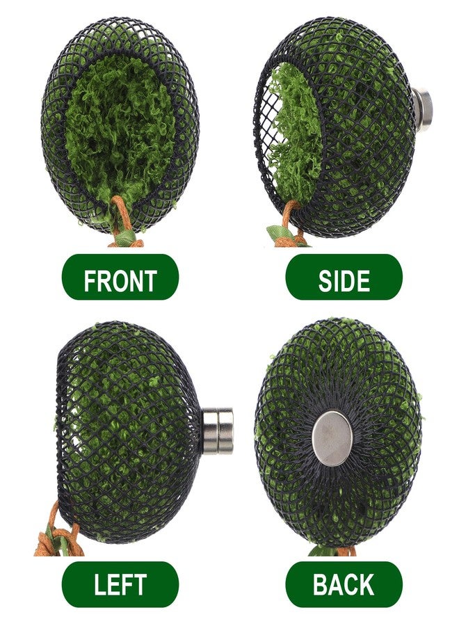 Zelphvt 1 Pcs Reptile Hides with Strong Magnet, Mesh Jumping Spider Accessories for Enclosure, Amphibian Habitat Hideouts Jumpings Spiders House for Tarantulas Reptile Hides and Hideout Caves Decorr - Image 5