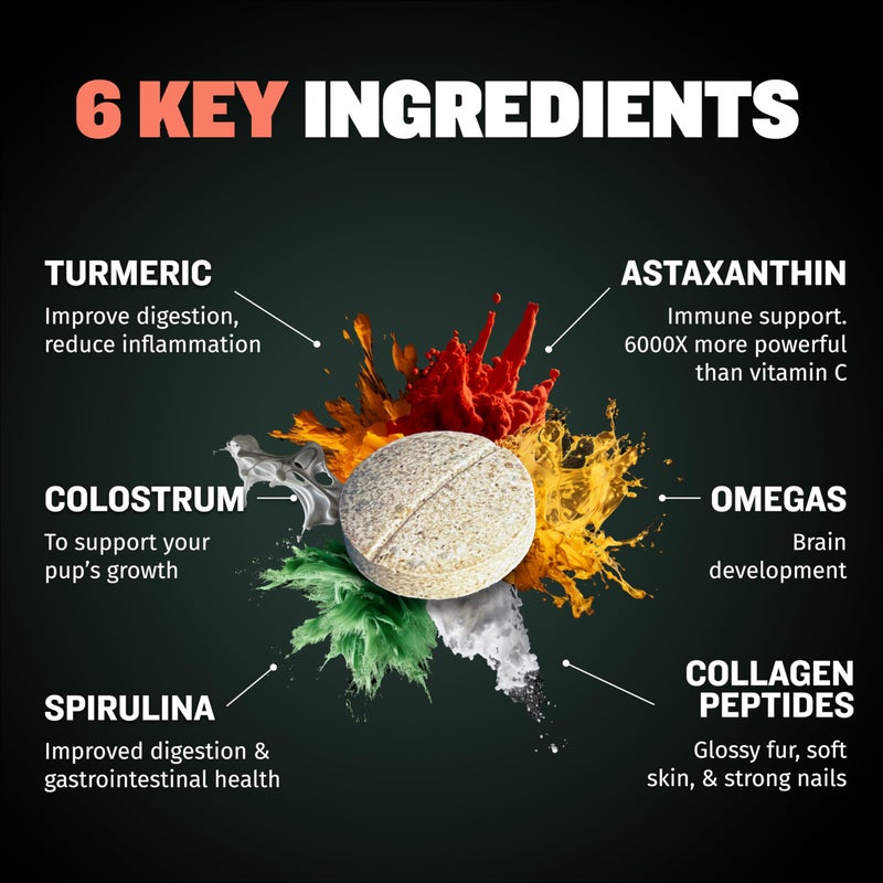 Bully Max 2-in-1 Puppy Vitamins - 30 Chewable Tablets for Development and Growth of Puppies - Dog Treats, Vitamin & Supplements for Small Dogs & Large Breed Growing Pups - Can Be Used as Food Topper - Image 4