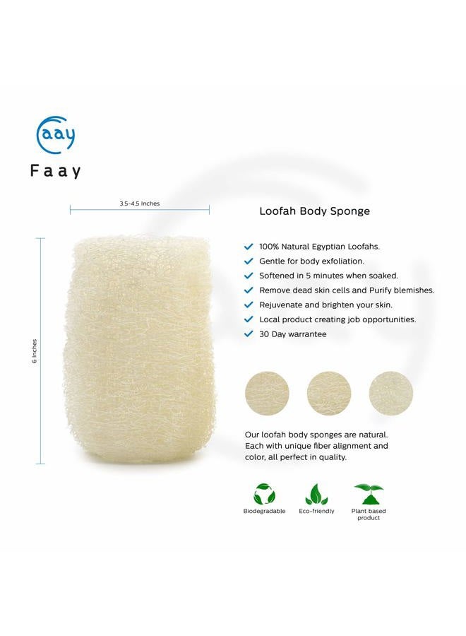 FAAY 4 Pcs Premium Natural Exfoliating Loofah Sponge: 6" Eco-friendly Unbleached Luffa Body Scrubber Rejuvenating Your Skin for Men and Women. Paraben Free Bath Sponge, Shower Loofah - Image 2