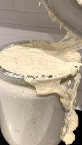 MADE WITH LOAVE Dehydrated Sourdough Starter by Made With Loave | INCLUDES Recipe | Beginner Friendly | As Seen On TikTok | 10g - Image 5
