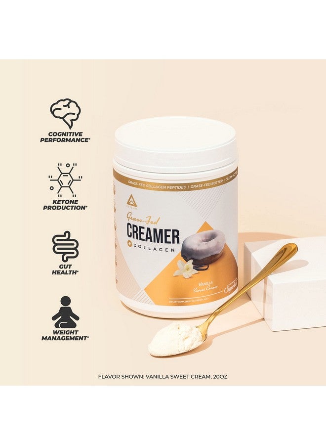 LevelUp ?????? ???? ???? ??????? By Levelup® With C8 Mct Collagen Protein Ketogenic Diet Coffee Creamer Ketosis Supplement Ketone Support (Vanilla Sweet Cream 19.5 Oz) - Image 4