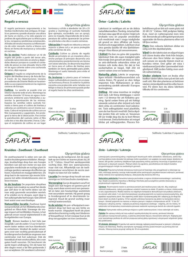 GGOOT Liquorice - 30 Seeds - with Soil - Glycyrrhiza glabra - Image 4