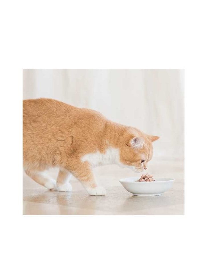 Schesir طعام رطب للقطط - تونة مع سمك السردين 140 جرام - Image 3