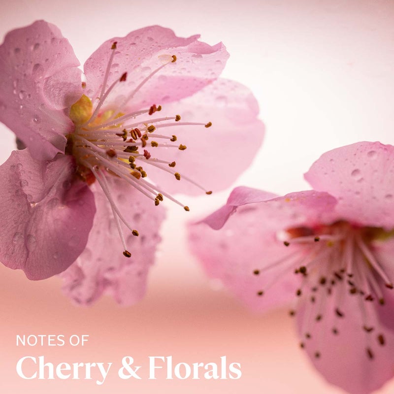 L'OCCITANE Cherry blossom hand cream 30 ml  - Image 3