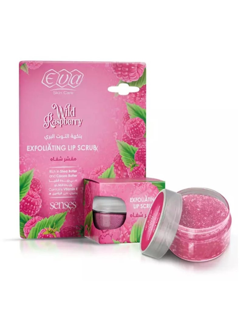 Eva Skin Care Senses Lip Balm - Wild Raspberry 4 gm + Skin Care Exfoliating Lip Scrub Raspberry flavored 20ML - Image 3