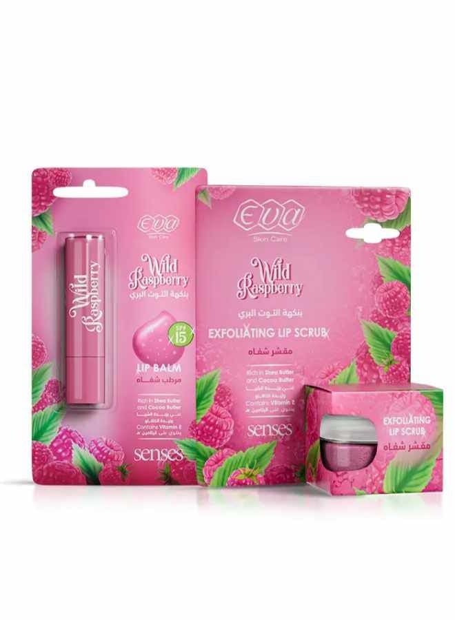 Eva Skin Care Senses Lip Balm - Wild Raspberry 4 gm + Skin Care Exfoliating Lip Scrub Raspberry flavored 20ML - Image 1