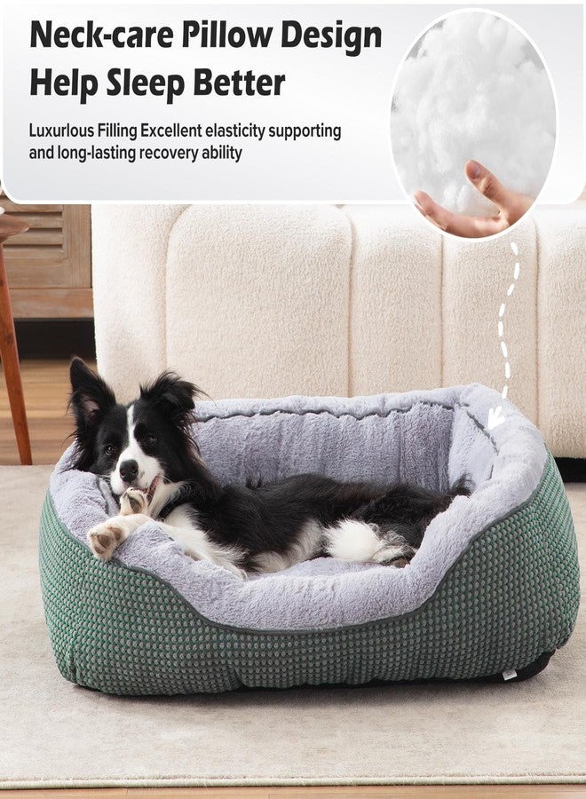 INVENHO Small Dog Bed Orthopedic Warming Soft Calming Sleeping Durable with Anti-Slip Bottom - Image 3