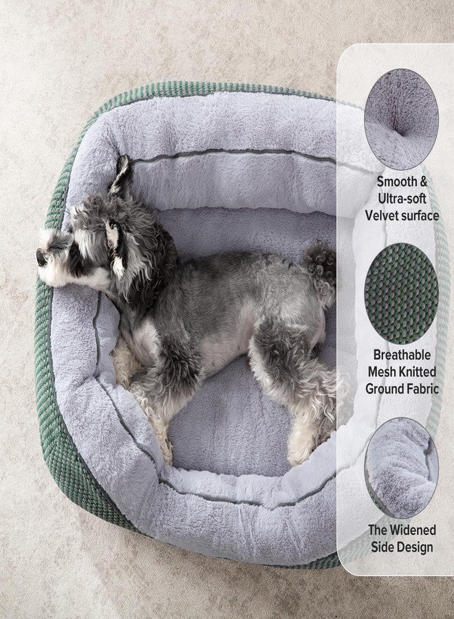 INVENHO Small Dog Bed Orthopedic Warming Soft Calming Sleeping Durable with Anti-Slip Bottom - Image 2