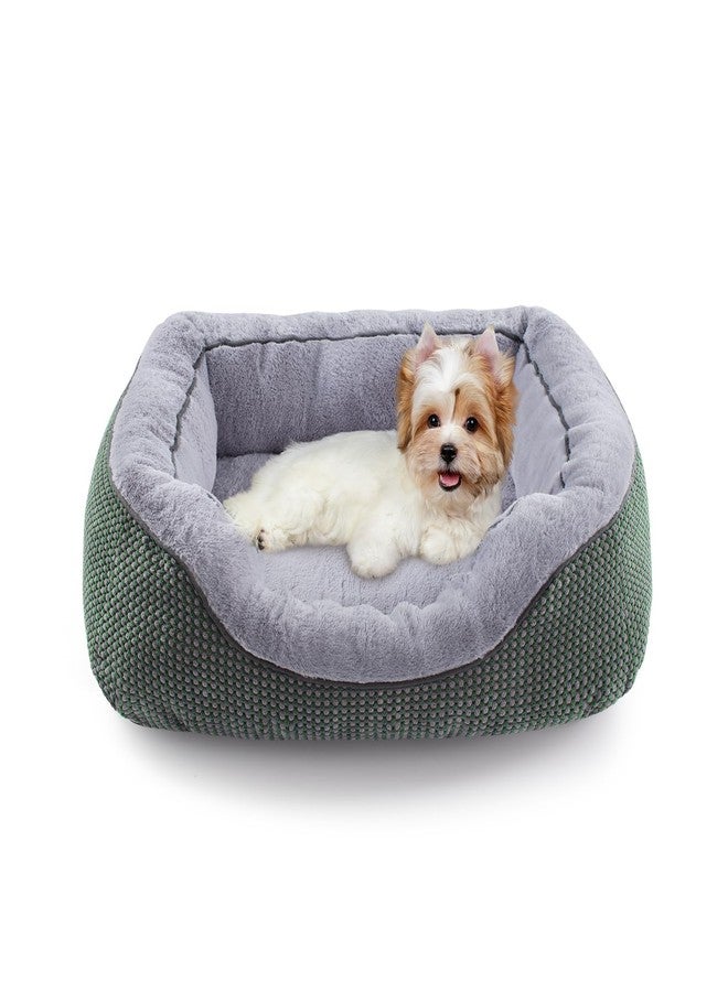 INVENHO Small Dog Bed Orthopedic Warming Soft Calming Sleeping Durable with Anti-Slip Bottom - Image 1