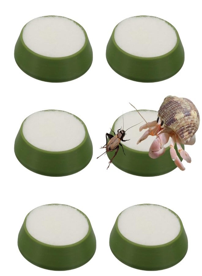 DQITJ 6 Pcs Cricket Water Bowl Plastic Reusable Feeding Dish Mini Bowl with 6 Pcs Sponge for Hermit Crab Cricket Scorpion Ant Isopod Invertebrate (Green) - Image 1