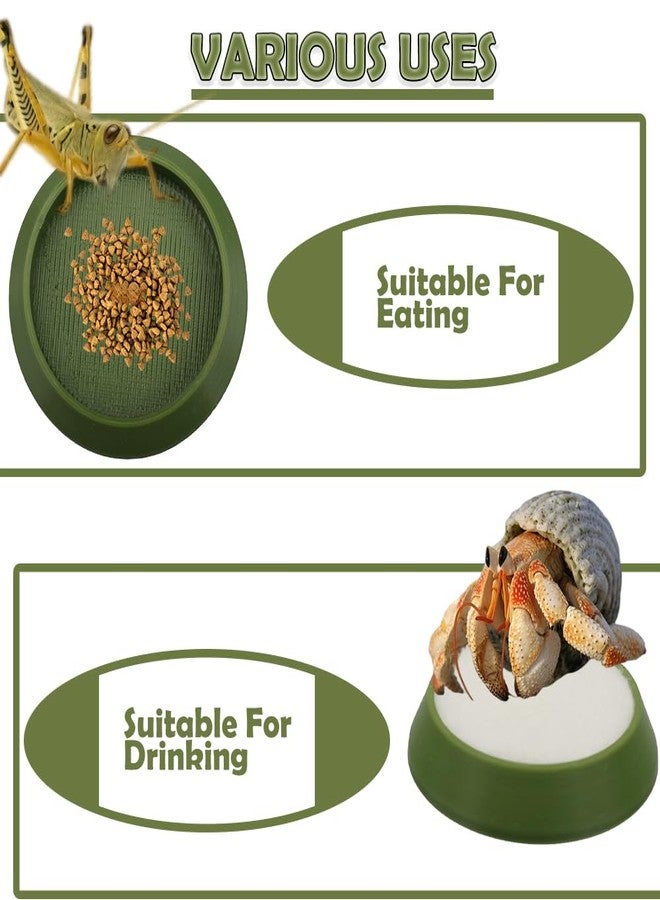 DQITJ 6 Pcs Cricket Water Bowl Plastic Reusable Feeding Dish Mini Bowl with 6 Pcs Sponge for Hermit Crab Cricket Scorpion Ant Isopod Invertebrate (Green) - Image 5