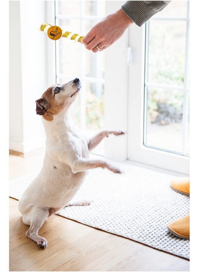 Sage Square Dog Spiral Munchy Rawhide Chicken And Mutton Flavours Chew Sticks For Dogs And Puppies (Pack Of 200Gm)  - Image 5