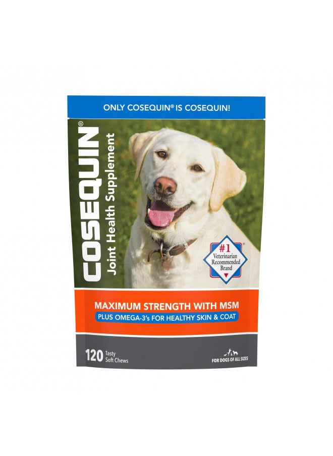 Nutramax Laboratories Nutramax Cosequin Joint Health Supplement for Dogs - With Glucosamine, Chondroitin, MSM, and Omega-3's, 120 Soft Chews 