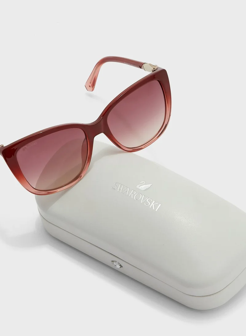 SWAROVSKI Wayfarer Sunglasses