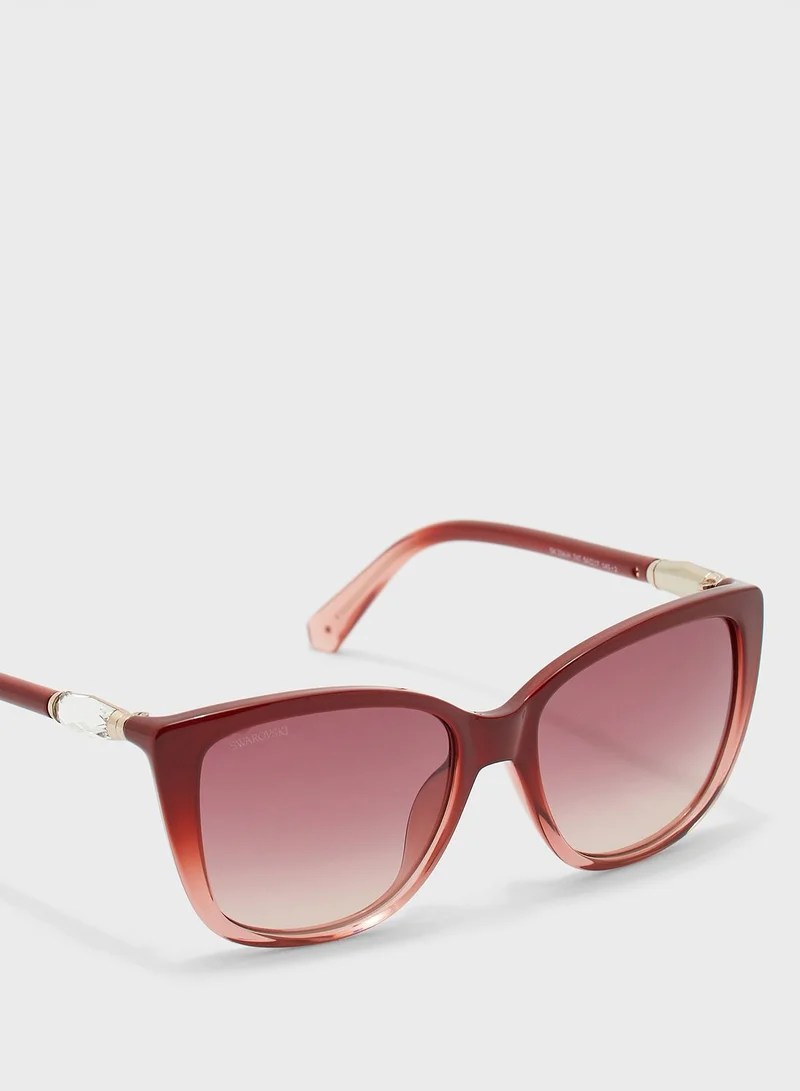 SWAROVSKI Wayfarer Sunglasses