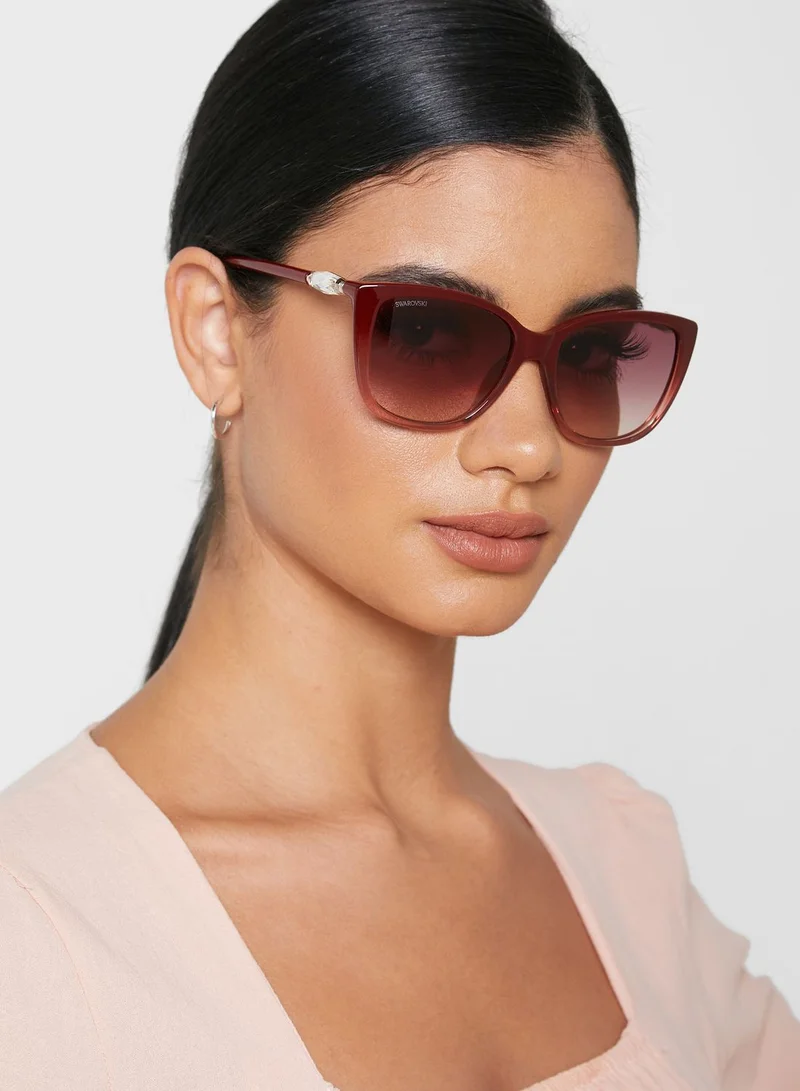 SWAROVSKI Wayfarer Sunglasses