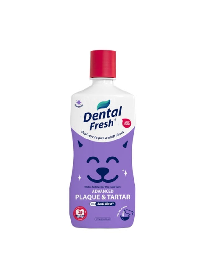 SynergyLabs Synergy Labs Dental Fresh Plaque & Tartar Control Water Additive for Dogs & Cats, 503ml - Image 1