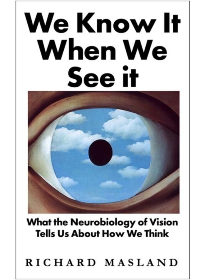We Know It When We See It : What the Neurobiology of Vision Tells Us About How We Think 