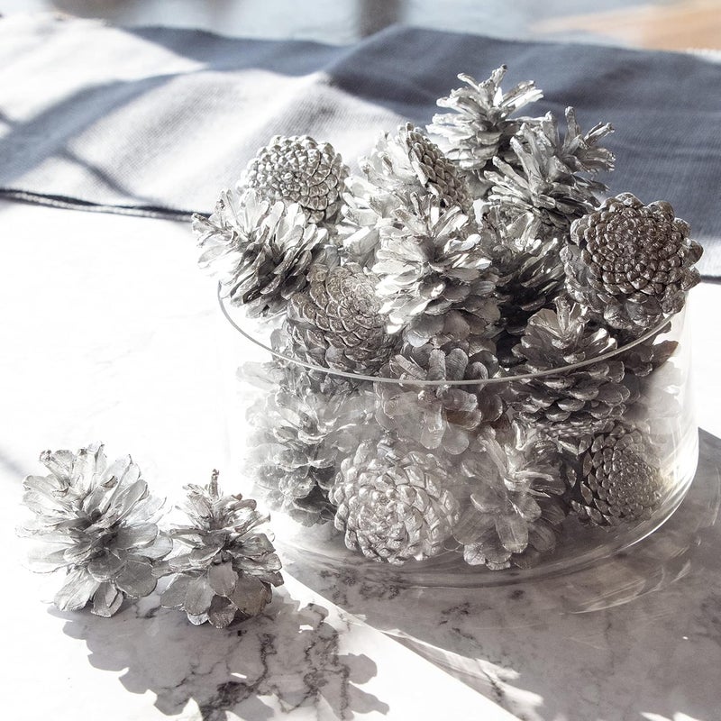 ANDALUCA Decorative Pinecone Vase & Bowl Fillers | Pinecones for Decorating & Home Decor (Silver) - Image 4