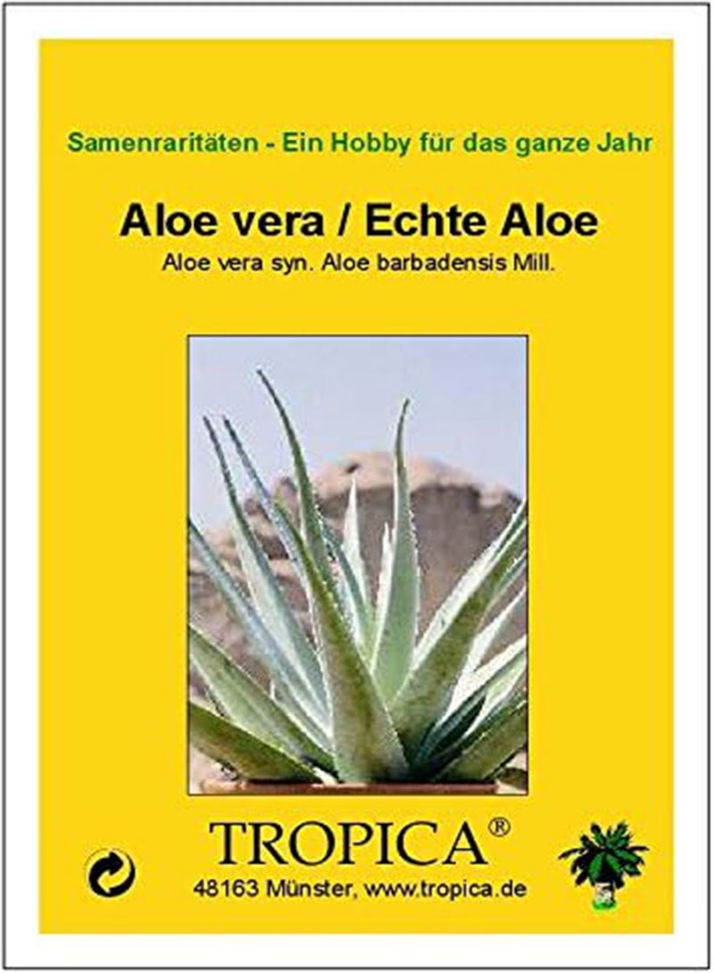 GGOOT Aloe Vera/True Aloe (Aloe Vera) - 15 Seeds -  - Image 2