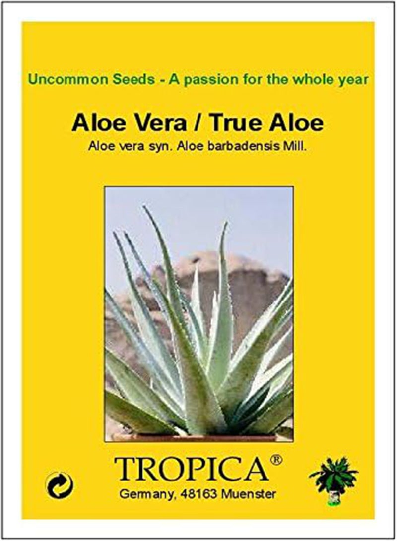 GGOOT Aloe Vera/True Aloe (Aloe Vera) - 15 Seeds -  - Image 3