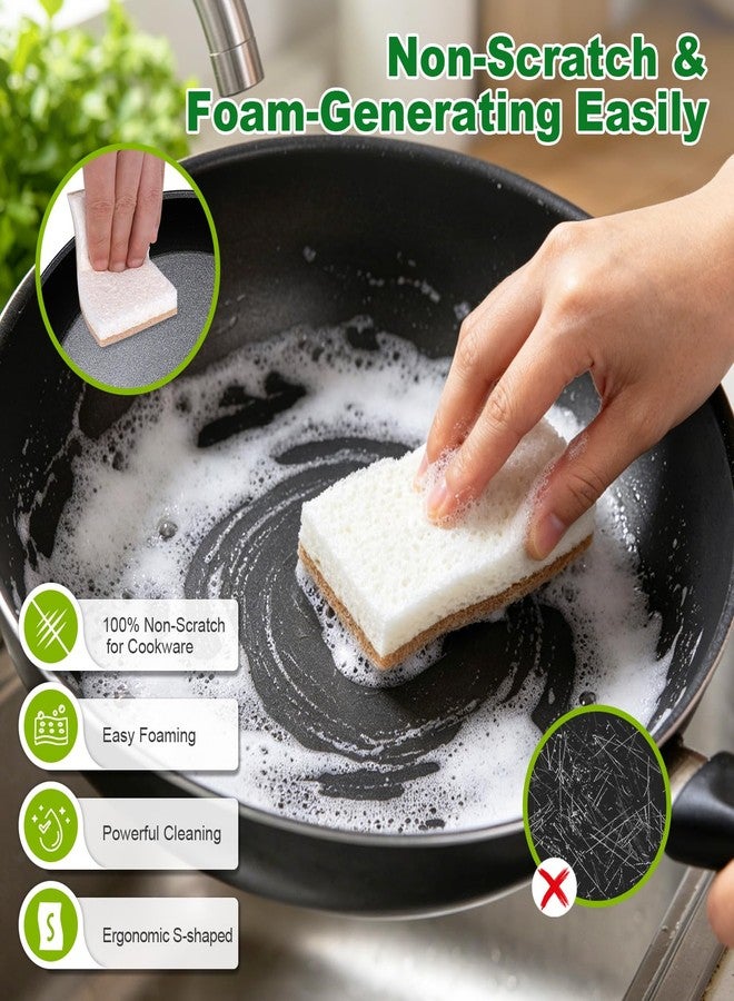 HOMEXCEL Sponges Kitchen, 24 Packs Non-Scratch Natural Sponge for Dishes Cookware, Biodegradable Cellulose Scrub Sponges for Dishwashing Cleaning Household Bathroom - Image 3