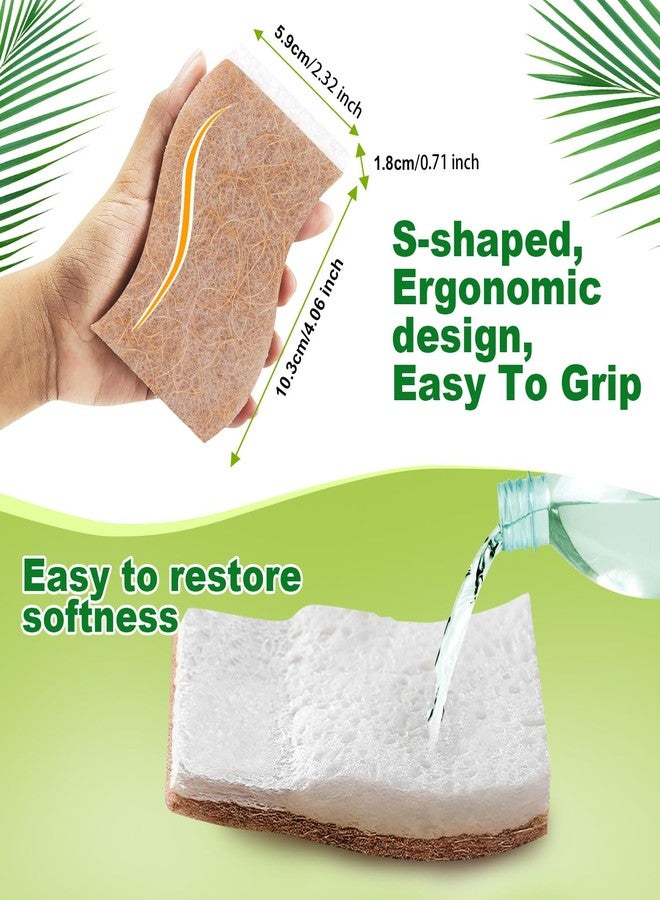 HOMEXCEL Sponges Kitchen, 24 Packs Non-Scratch Natural Sponge for Dishes Cookware, Biodegradable Cellulose Scrub Sponges for Dishwashing Cleaning Household Bathroom - Image 5