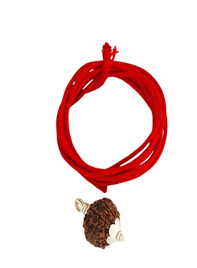 SENDAN 925 Sterling Silver Rudraksha Pendant | 5 Mukhi Nepali Rudraksha Pendant - Image 4