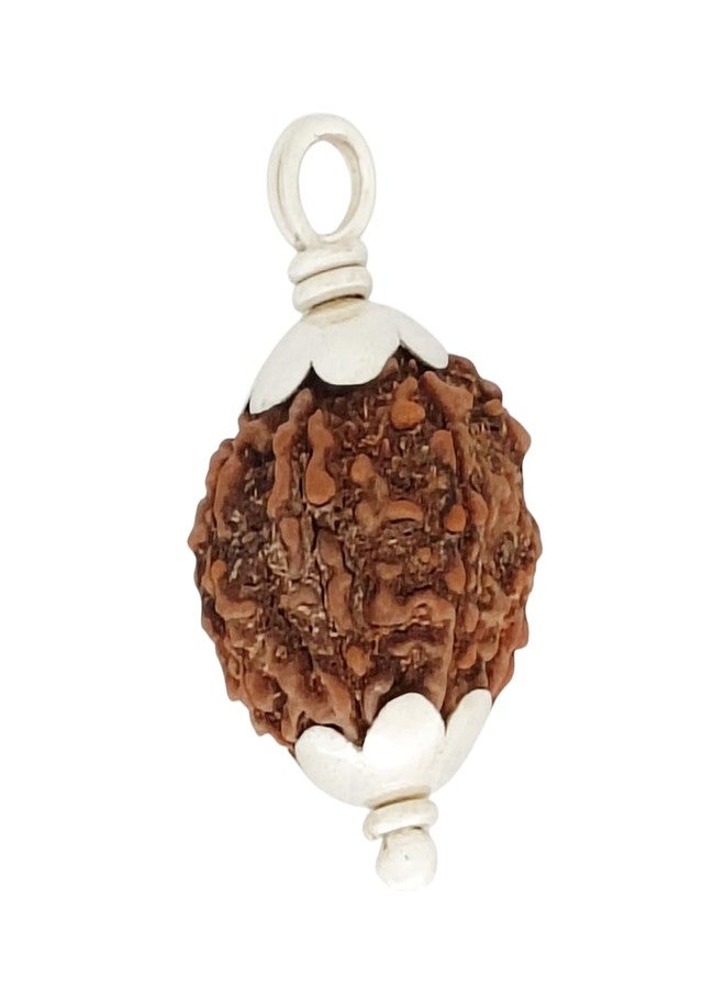SENDAN 925 Sterling Silver Rudraksha Pendant | 5 Mukhi Nepali Rudraksha Pendant - Image 2