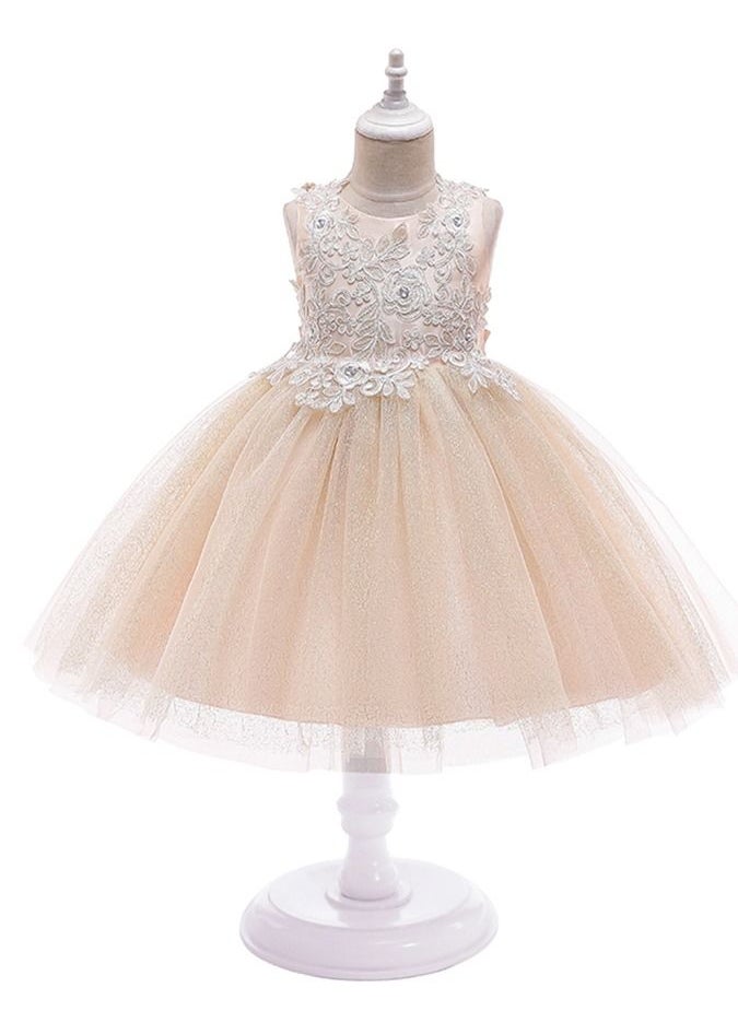 Loquat - New girl child skirt princess lovely embroidered girl skirt dress children gauze skirt  champagne - Image 1