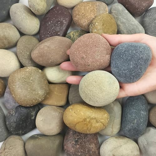 FANTIAN 5 lbs Natural Aquarium Rocks, 2-3 Inch Large Pebbles.Decorative River Rocks for Plants, Fish Tank, Garden, Paving, Fountain, Walkways and Outdoor Landscaping - Image 1