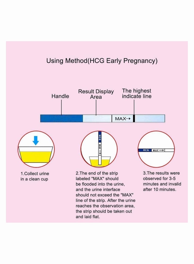 SINCHER Pregnancy Test Strips, Early Home Test 20 Pack+20 Urine Cup, for Women Home Testing